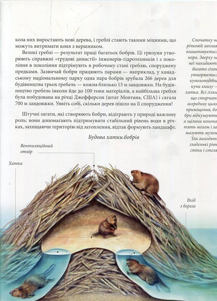 Hidden Product Image 10