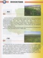 Фото Енциклопедія для допитливих А5 : Рослини і тварини України (Українська ) 3
