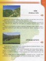 Фото Енциклопедія для допитливих А5 : Рослини і тварини України (Українська ) 4