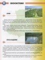 Фото Енциклопедія для допитливих А5 : Рослини і тварини України (Українська ) 5