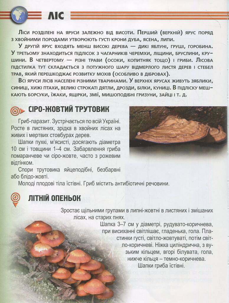 Hidden Product Image 7