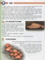 Фото Енциклопедія для допитливих А5 : Рослини і тварини України (Українська ) 7