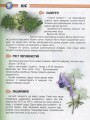 Фото Енциклопедія для допитливих А5 : Рослини і тварини України (Українська ) 9
