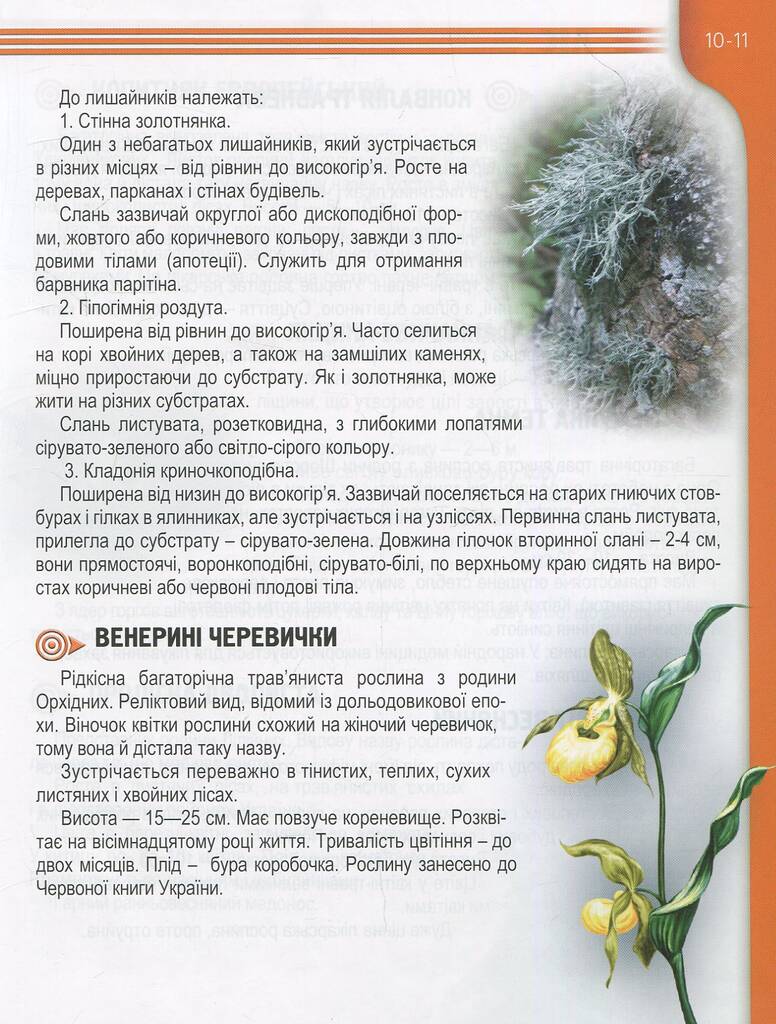 Hidden Product Image 10