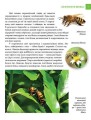 Фото Енциклопедія для допитливих А5 : Найнебезпечніші істоти планети (Українська, 01 КРЕЙДОВАНА ) 3