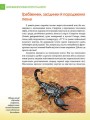 Фото Енциклопедія для допитливих А5 : Найнебезпечніші істоти планети (Українська, 01 КРЕЙДОВАНА ) 4