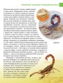 Фото Енциклопедія для допитливих А5 : Найнебезпечніші істоти планети (Українська, 01 КРЕЙДОВАНА ) 5