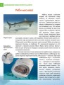 Фото Енциклопедія для допитливих А5 : Найнебезпечніші істоти планети (Українська, 01 КРЕЙДОВАНА ) 6