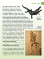 Фото Енциклопедія для допитливих А5 : Найнебезпечніші істоти планети (Українська, 01 КРЕЙДОВАНА ) 9