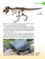 Фото Енциклопедія для допитливих А5 : Найнебезпечніші істоти планети (Українська, 01 КРЕЙДОВАНА ) 11