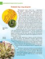 Фото Енциклопедія для допитливих А5 : Найнебезпечніші істоти планети (Українська, 01 КРЕЙДОВАНА ) 12