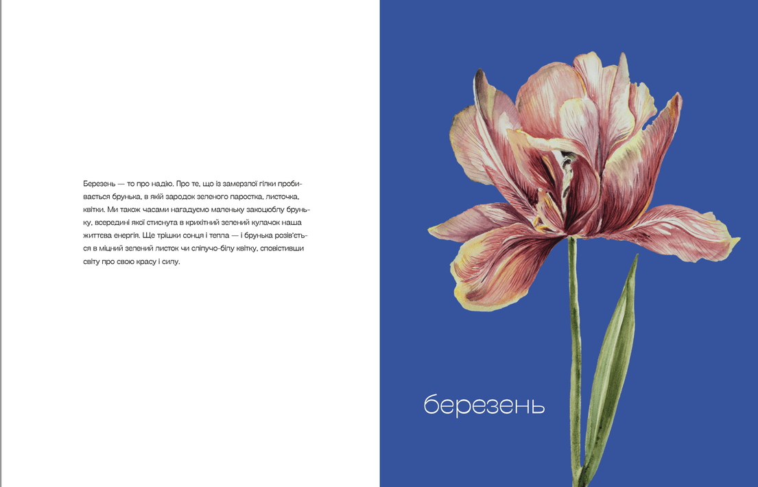 Hidden Product Image 7