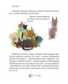 Фото 36 і 6 котів 7