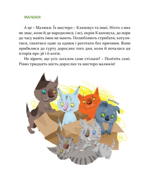 Hidden Product Image 10