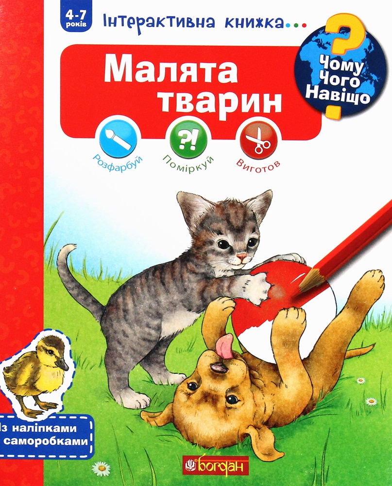 Main Product