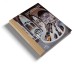 Фото Temples of Books 2