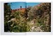 Фото The Avant Gardens 5