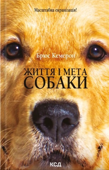 Main Product