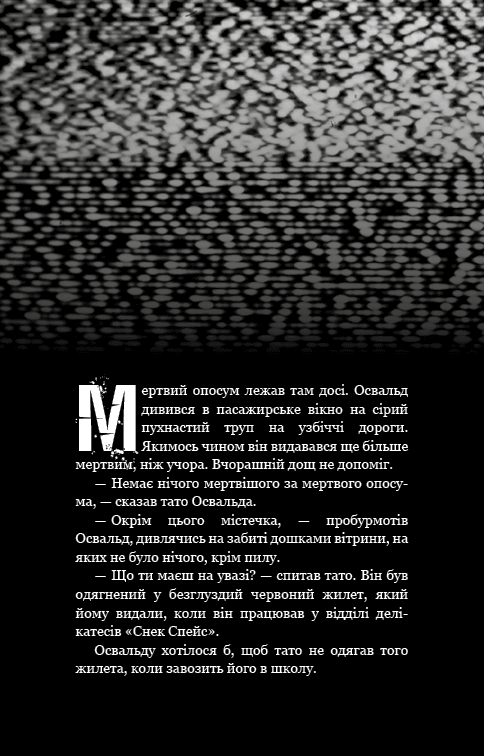 Hidden Product Image 6
