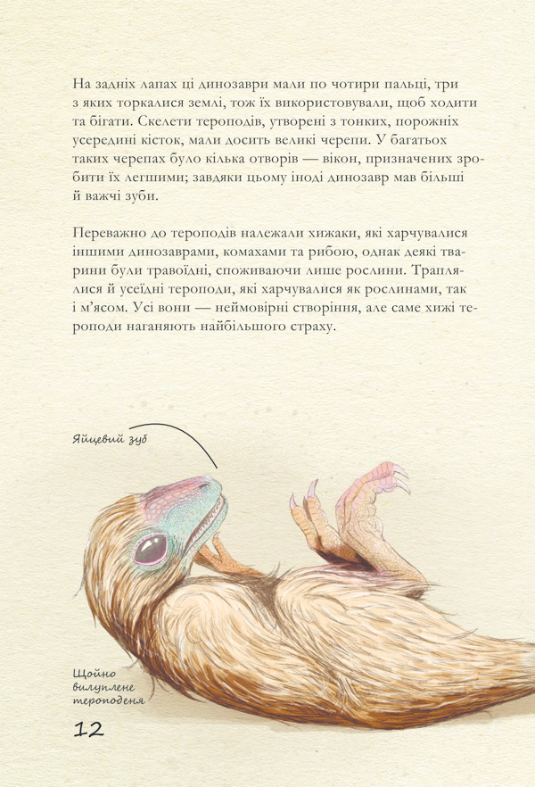 Hidden Product Image 12