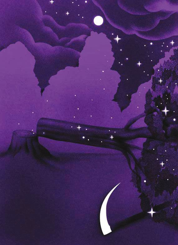 Hidden Product Image 11