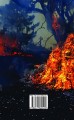 Фото Україна в огні. Війна 2022 крізь призму Довженка: 100 днів протистояння 3