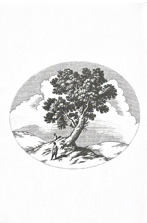 Hidden Product Image 11