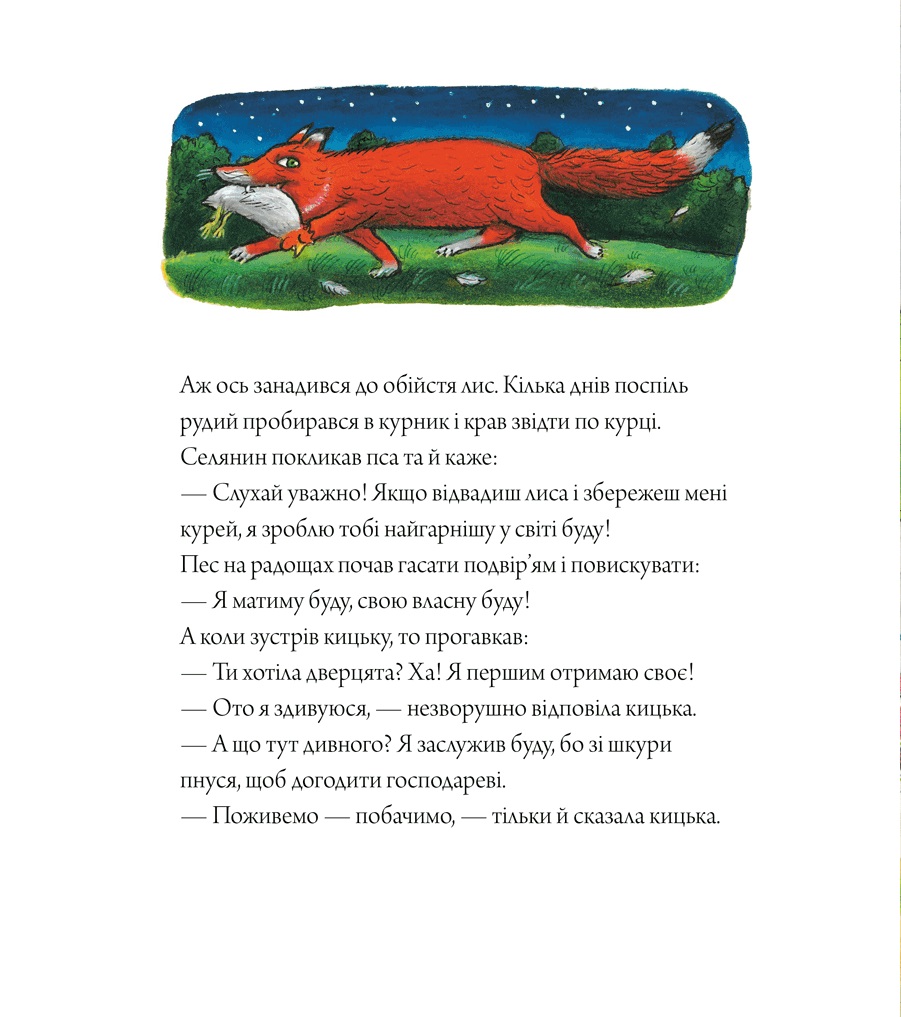 Hidden Product Image 8