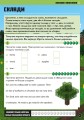 Фото MINECRAFT Англійська мова. Офіційний посібник. 9-10 років 2