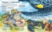 Фото Велика книга морських мешканців 3