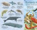 Фото Велика книга морських мешканців 5