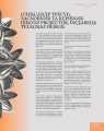 Фото Telegraf. Український дизайн 9
