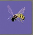 Фото Insects. Collect the rainbow 4