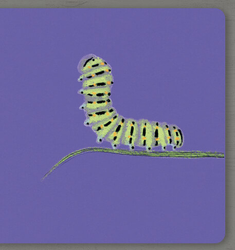 Hidden Product Image 6