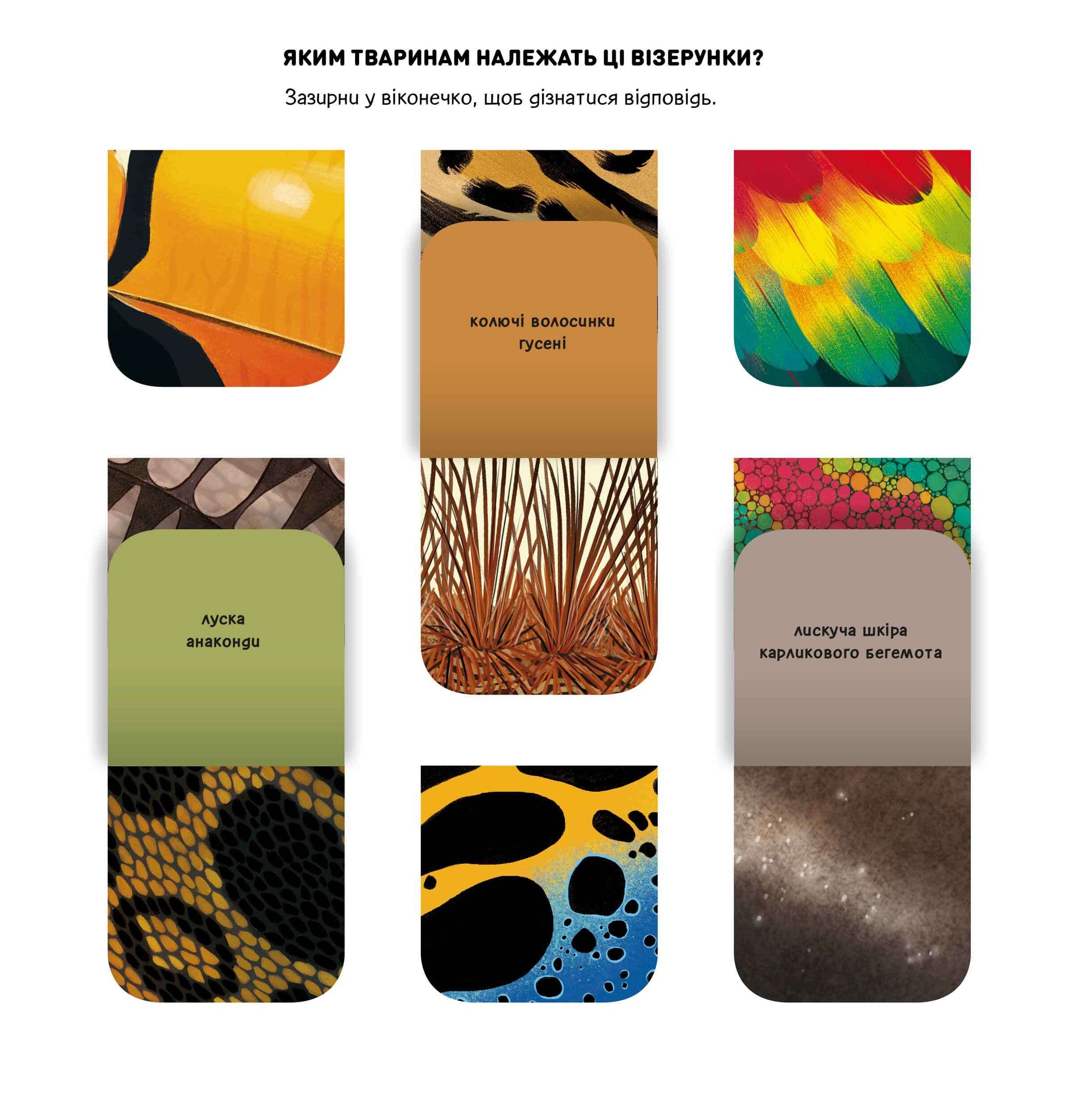 Hidden Product Image 6