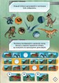 Фото LEGO Jurassic World Нова ера динозаврів! 6