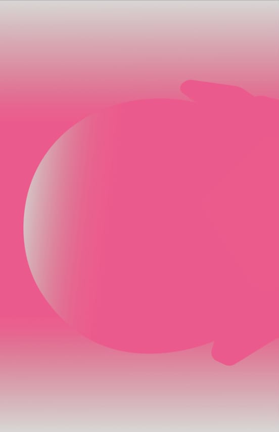 Hidden Product Image 11