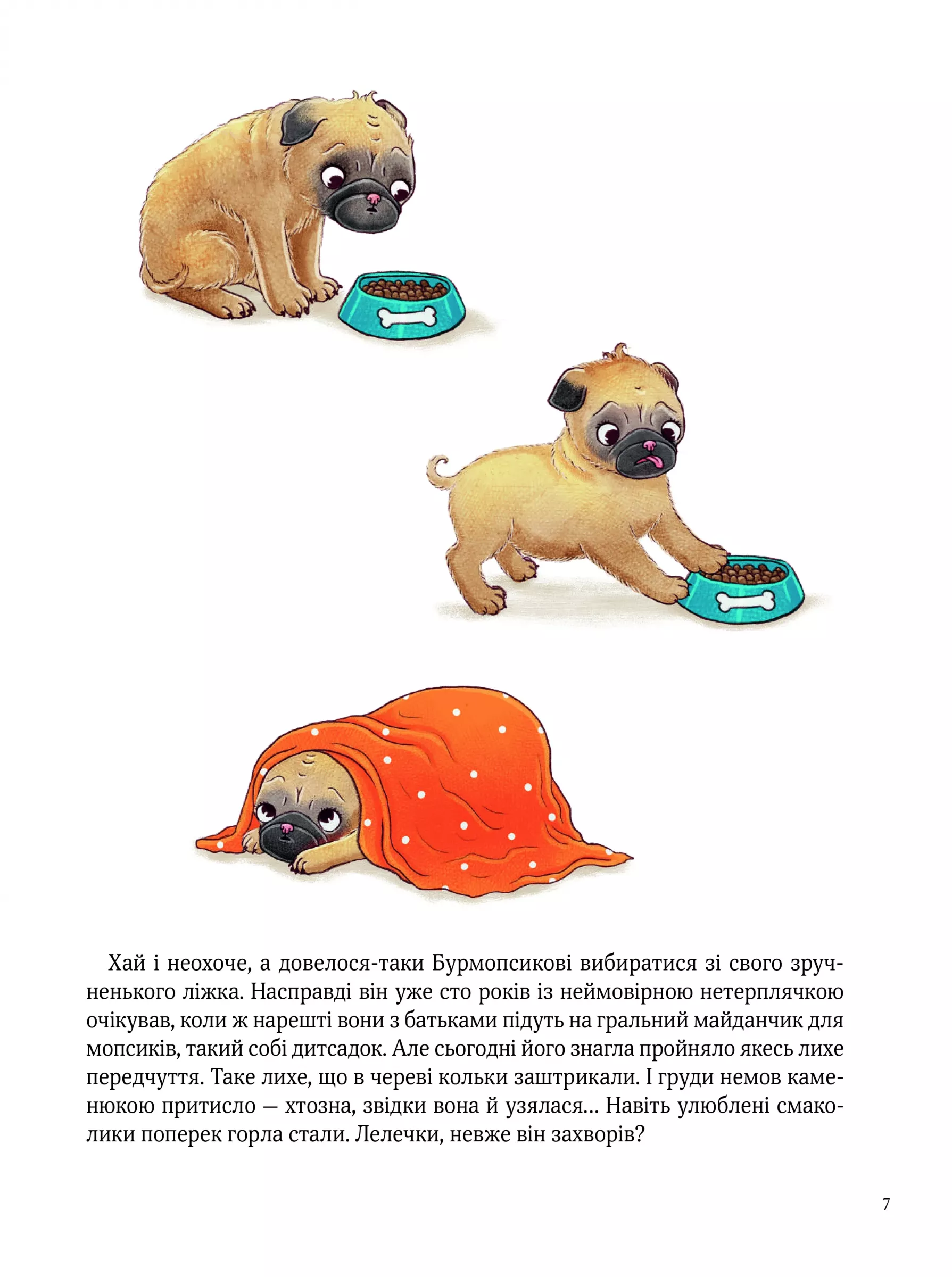 Hidden Product Image 7
