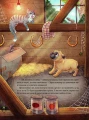 Фото Усміхнися, Бурмопсику! 12