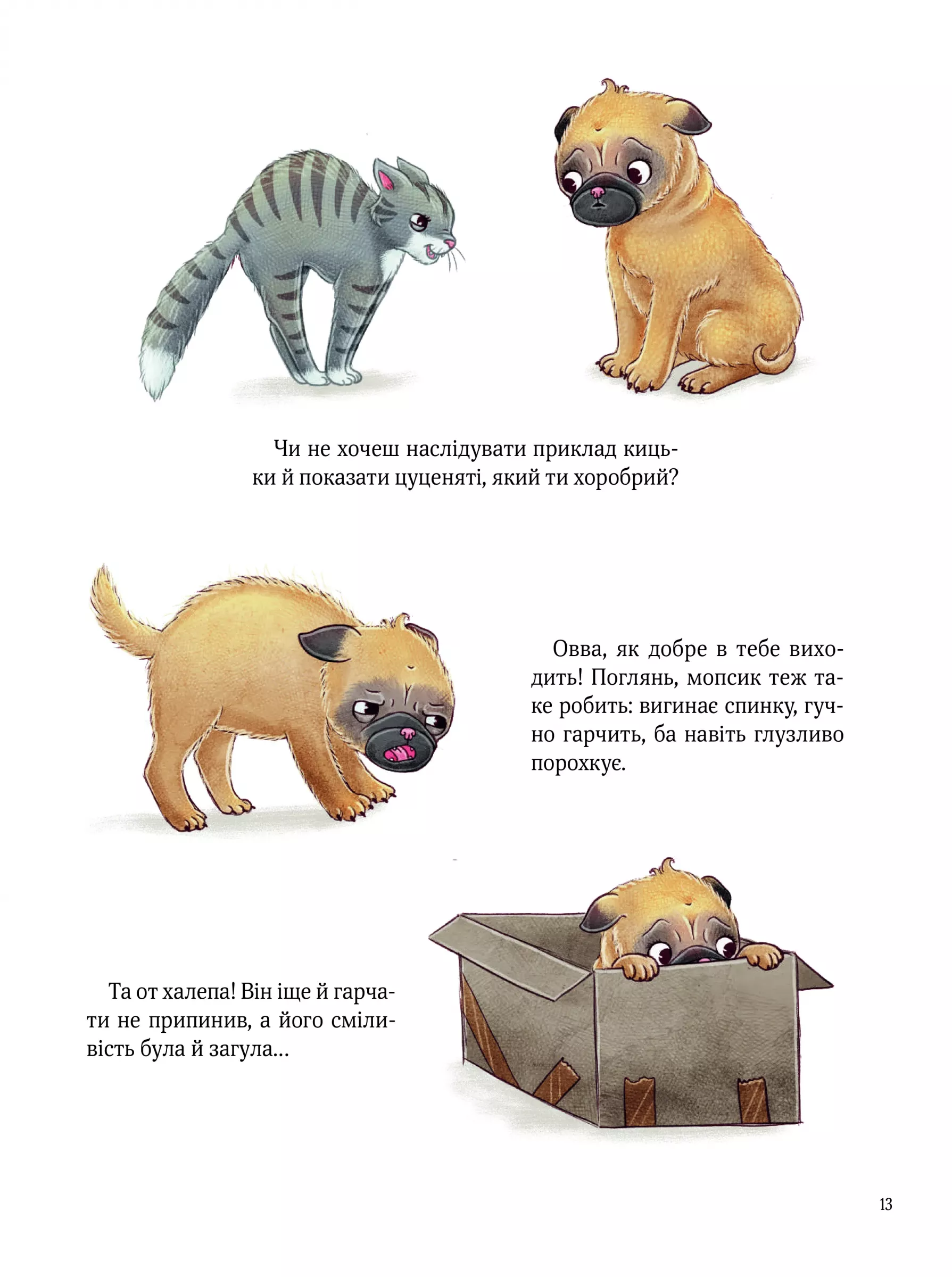 Hidden Product Image 13