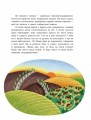 Фото Читаємо про Україну 6