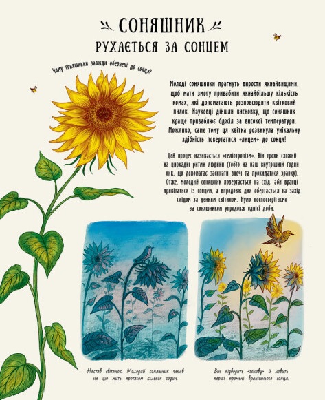 Hidden Product Image 8