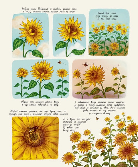 Hidden Product Image 9