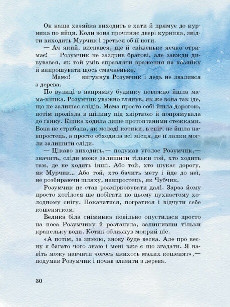 Hidden Product Image 12