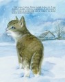 Фото Коти. Такі, як ти 13