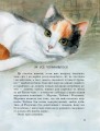 Фото Коти. Такі, як ти 7