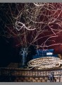 Фото Натхнення природою. Створюємо індивідуальні та природні інтер’єри 9