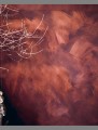Фото Натхнення природою. Створюємо індивідуальні та природні інтер’єри 10