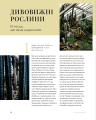 Фото Дикі інтер’єри. Красиві рослини в чудових просторах 6
