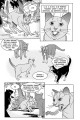 Фото Коти - вояки. Манґа 7. Тигрозір і Саша. Повернення до Кланів 8